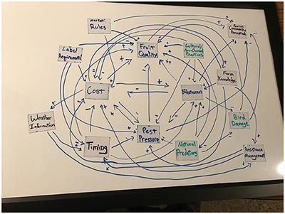 Farmer Mental Models of Biological Pest Control: Associations With Adoption of Conservation Practices in Blueberry and Cherry Orchards